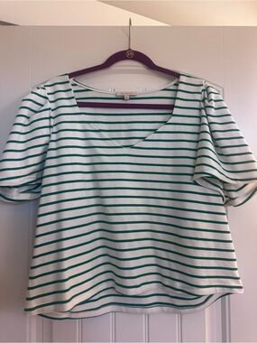NWOT Striped V-Neck Puff Sleeve Top - White & Teal